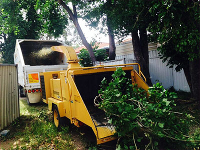ALS Tree Service Sydney provide wood chipping services
